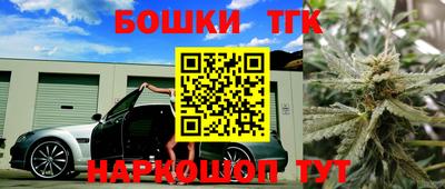 винт Дубна