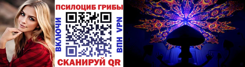 дарк нет как зайти  mega зеркало  Нижнеудинск  Псилоцибиновые грибы прущие грибы 