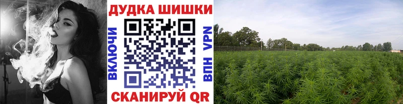 Бошки марихуана White Widow  Нижнеудинск 
